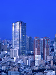 Fototapete - 六本木ヒルズと東京の夜景