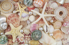 Seashell Background With Pearls. Many Different Colorful Seashells And Starfish And White Pearls.