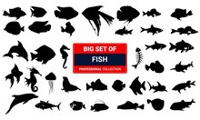 : Big Set Of Sea Fish And Monster Silhouette Set Isolated On White Background Vector Illustration 03. 