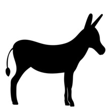 Donkey Silhouette, On White Background, Vector, Isolated