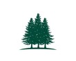 pine tree woods park vector logo