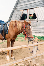 Horse With A Harness Stands At A Hitching Post Near A Wooden House