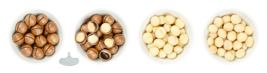 Wall Mural - Macadamia nuts, in white bowls. Dried fruits with sawn nutshells, opened with the opener key, shelled and raw, and roasted and salted. Also known as Queensland, bush, maroochi, bauple and Hawaii nuts.
