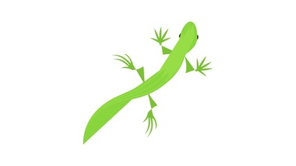 Wall Mural - Salamander icon animation best cartoon object on white background