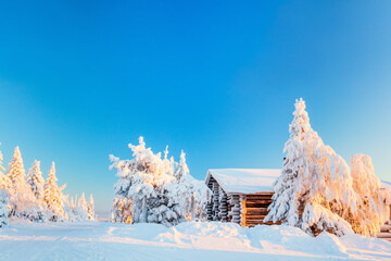 Canvas Print - Winter landscape in Finland