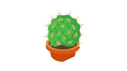 Wall Mural - Cactus in flower pot icon animation best cartoon object on white background