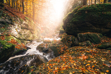 Wall Mural - cascade waterfall in a autumn looking forest with leaves on the ground and fog in the air