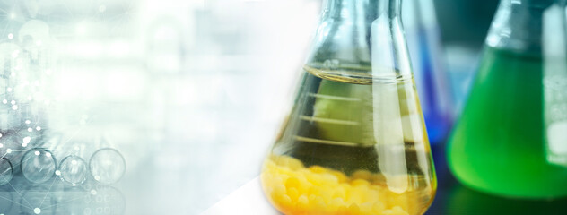 Wall Mural - flask glass and test tube in medical microbiology lab white banner background