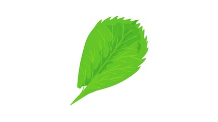 Poster - Elm leaf icon animation best cartoon object on white background