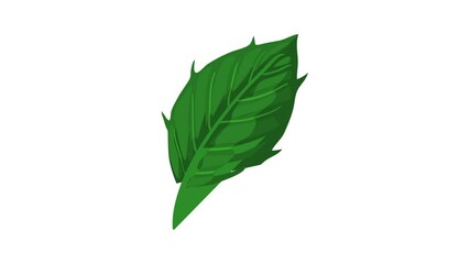 Poster - Thistle leaf icon animation best cartoon object on white background