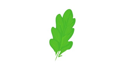 Poster - Oak leaf icon animation best cartoon object on white background