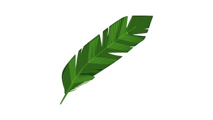 Sticker - Banana, leaf icon animation best cartoon object on white background