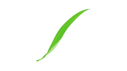 Poster - Willow leaf icon animation best cartoon object on white background