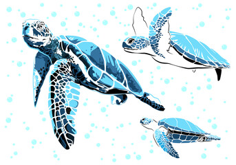 Wall Mural - graphic sea turtle,vector illustration of sea turtle,vector of turtle design on a white background