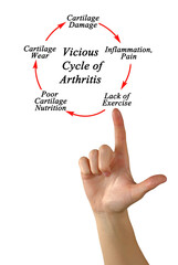 Sticker - Steps in  Vicious Cycle of Arthritis