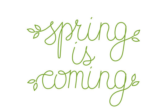 Hand drawn line art spring is coming lettering text. Lettering spring season with leaf for greeting card, invitation template, poster and banner.