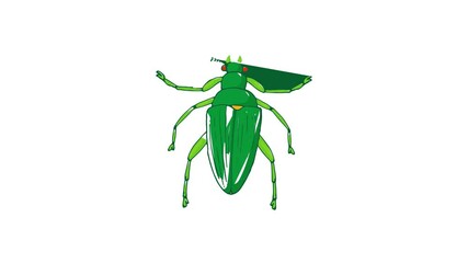 Wall Mural - Insect bug icon animation best cartoon object on white background