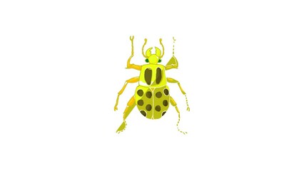 Canvas Print - Insect bug icon animation best cartoon object on white background