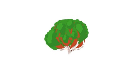 Poster - Big green tree icon animation best cartoon object on white background