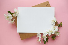 Spring Greeting Card Layout. Blossoming Branches Of Cherry And Gift Box 