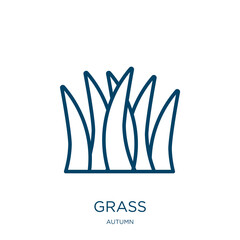 Poster - grass icon from autumn collection. Thin linear grass, natural, nature outline icon isolated on white background. Line vector grass sign, symbol for web and mobile