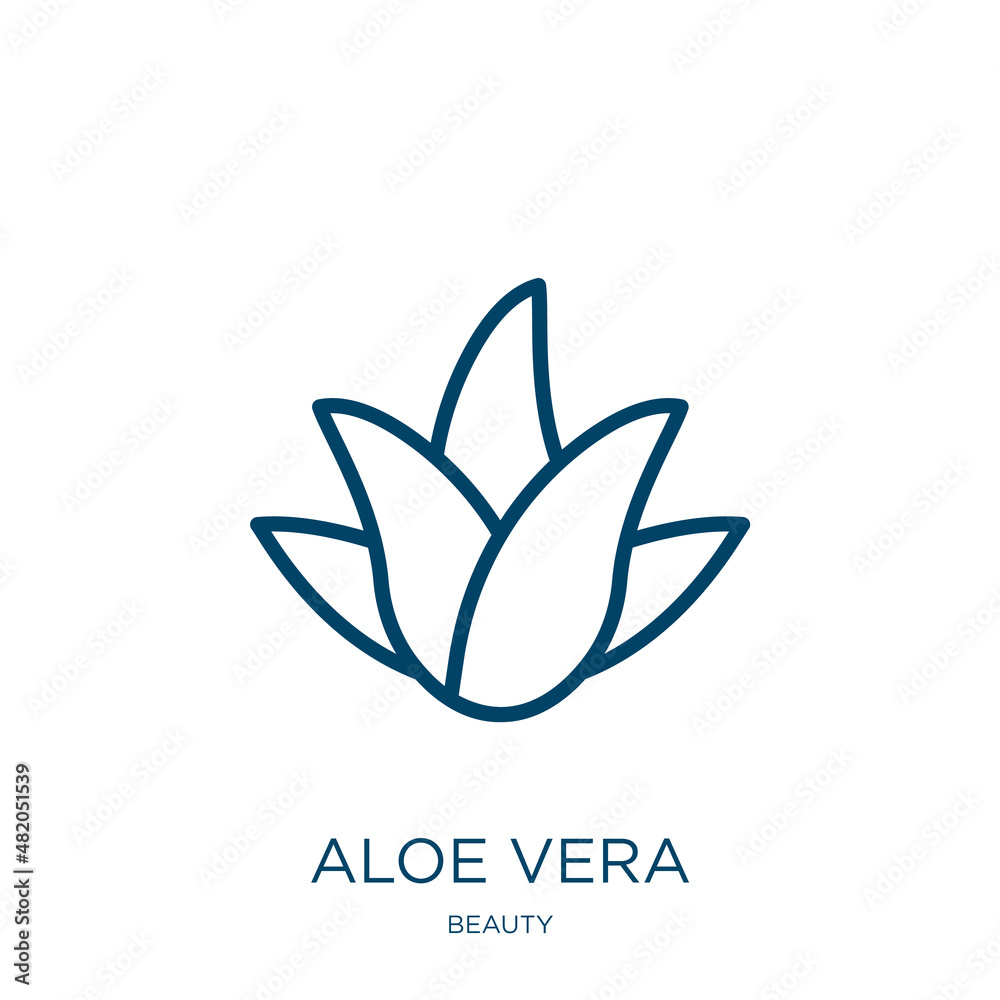 aloe vera icon from beauty collection. Thin linear aloe vera, natural,  plant outline icon isolated on white background. Line vector aloe vera  sign, symbol for web and mobile Stock Vector | Adobe
