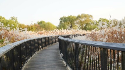 Wall Mural - bridge in the park