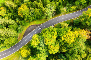 Wall Mural - a road through a green forest. aerial landscape. summer landscape from the air in switzerland. fores