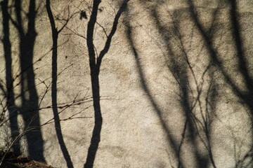 Wall Mural - Playing with shadows on rocks