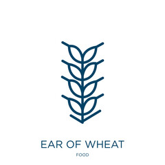 Poster - ear of wheat icon from food collection. Thin linear ear of wheat, farm, grain outline icon isolated on white background. Line vector ear of wheat sign, symbol for web and mobile