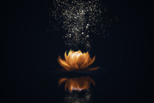 Golden Lotus On Dark Background