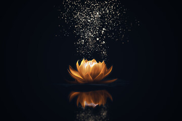 Golden lotus on dark background