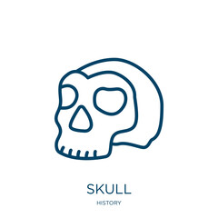 Poster - skull icon from history collection. Thin linear skull, human, head outline icon isolated on white background. Line vector skull sign, symbol for web and mobile