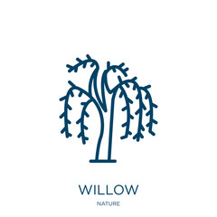 Poster - willow icon from nature collection. thin linear willow, branch, decoration outline icon isolated on 