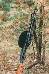 Old Soviet Russian Degtyaryov DP Machine Gun Of World War II Leaning Against Trunk Of Tree. Weapon Of Red Army.