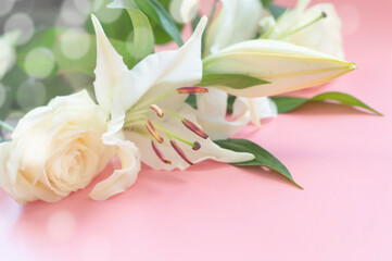  Fresh lilies on a pink background with a rose. Floral background.