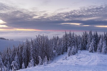 Wall Mural - beautiful winter views of the high tatra mountains with tourists, skiers and amazing states of natur