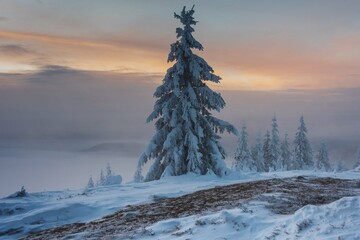 Wall Mural - beautiful winter views of the high tatra mountains with tourists, skiers and amazing states of natur