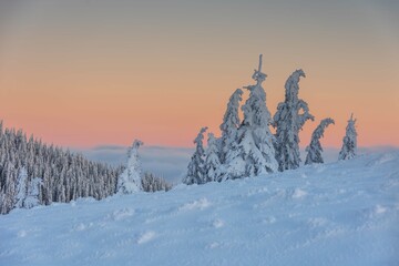 Wall Mural - beautiful winter views of the high tatra mountains with tourists, skiers and amazing states of natur