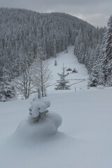 Wall Mural - beautiful winter views of the high tatra mountains with tourists, skiers and amazing states of natur
