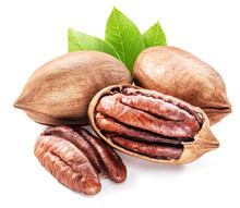 Shelled And Cracked Pecan Nuts With Leaves Close-up On White Background.