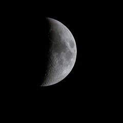 Wall Mural - detailed image of the moon in the nightsky