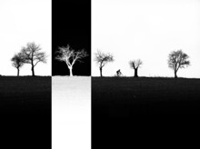 Inverted Reality - Cyclist And Tree Line Without Leaves On The Field