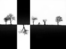 Inverted Reality - Cyclist And Tree Line Without Leaves On The Field