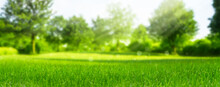 Beautiful Blurred Green Nature Background With Green Meadow In Foreground, Idyllic Area For Recreation, Fresh Springtime Or Summertime Concept With Copy Space