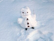 allegro piccolo pupazzo di neve in montagna