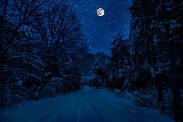Wall Mural - mountain road through the snowy forest on a full moon night. scenic night winter landscape of dark b