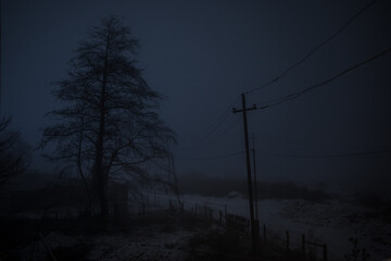Wall Mural - mountain road through the snowy forest on a full moon night. scenic night winter landscape of dark b