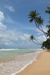 beautiful dream beach - Sri Lanka, Asia