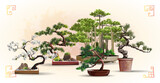 Fototapeta Dinusie - Set of bonsai Japanese trees grown in containers. Beautiful realistic tree. Tree in bonsai style. Bonsai tree on the red box. Decorative little tree vector illustration. Nature art